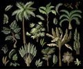 Tropical tree elements such as palm, banana, monstera and other isolated. Vector. Royalty Free Stock Photo