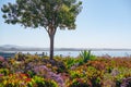 Tropical tree, plants and wildflowers on the beach with seascape and clear blue sky