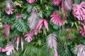 Tropical trees arranged in full background Or full wall There are leaves in different sizes, different colors, various sizes, many