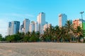 Tropical trees on beach and tall skyscrapers under light of morning sun in golden hour