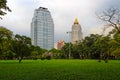 Tropical trees and lawn with skyscrapers in the Royalty Free Stock Photo