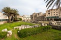 Tropical trees surround the remains of stone ruins