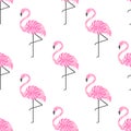 Tropical trendy seamless pattern with pink decorative flamingos from palm leaves on white background.