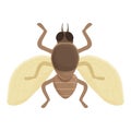 Tropical tsetse fly icon cartoon vector. Nature tik