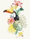 Tropical Tucan With Flowers