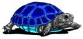 Tropical turtle icon. Cartoon of tropical turtle vector icon for web design