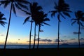 Tropical Twilight at the shore