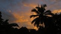 The tropical twilight Royalty Free Stock Photo