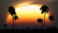 Tropical twilight sun highlights palm silhouettes