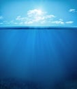 Tropical underwater scene Royalty Free Stock Photo