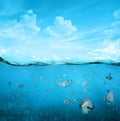 Tropical underwater scene Royalty Free Stock Photo