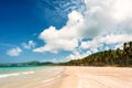 Tropical untoched beach with palm trees and white sand. Philippines