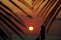 Tropical Vacation Woman Walking on Beach at Sunset Royalty Free Stock Photo