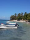 Tropical Vaction Scene with Boats and Palm Trees