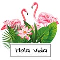 Tropical vector composition hola vida slogan pink flamingo flowers leaves white background