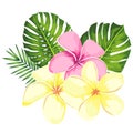 Tropical vector pink plumeria flowers, branches and leaves set for floral card illustration. Flower Bouquet with exotic Leaf Royalty Free Stock Photo