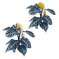 Tropical vector set with a exotic yellow flower, a palm branch.