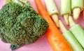 Tropical vegetables consist of green broccoli, baby corn and carrots