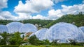 Tropical vegetation in the Eden Project, Corwnall Royalty Free Stock Photo