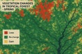 Tropical vegetation mapping highlighting spring changes in forest canopy with loss and gain visualization concept of environmental Royalty Free Stock Photo
