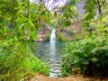 tropical vegetation and pond and waterfall in Bassin des Cormorans, saint Gilles, Reunion