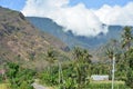 Tropical vegetation and volcanic hills of Bali