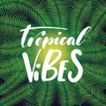 Tropical vibes - conceptual hand drawn phrase hand lettering