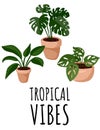 Tropical vibes postcard. Potted succulent plants flyer. Cozy lagom scandinavian style poster