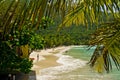 Tropical view Royalty Free Stock Photo