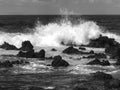Waves on Rocks Maui Beach Black and White Royalty Free Stock Photo
