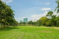 Tropical view of green lawn grass meadow field and trees in public park with city buildings in the background. Royalty Free Stock Photo