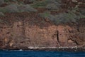 Tropical View, Lanai Lookout, Hawaii Royalty Free Stock Photo