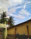 Tropical view and mosque