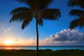 Tropical view with palm trees and beautiful turquoise sea and beach with white sand, tropical vacation landscape. Generative Ai Royalty Free Stock Photo