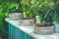 Tropical view row of wooden sinks & faucet in Japanese design with vertical plants wall background.