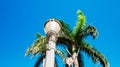 Tropical view of the sky from inside a Park In Puerto Plata