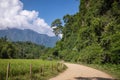 Tropical village Vang Vieng, Laos. Green palms