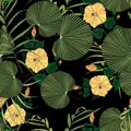 Tropical vintage yellow hibiscus floral green leaves seamless pattern black background. Royalty Free Stock Photo