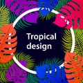 Tropical vivid leaf frame design. Summer tropical design with exotic palm leaves. Monstera, palm, banana leaves. Exotic