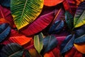 Tropical vivid vibrant color background