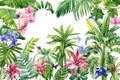 Tropical wallpaper design with exotic plant. Flowers, palm leaves, butterfly and birds. Watercolor Summer background Royalty Free Stock Photo