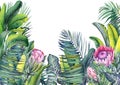 Tropical wallpaper with exotic protea flowers, palm and banana leaves.