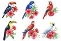 Tropical watercolor birds, flowers and leaves. set with exotic plants isolated on white background Royalty Free Stock Photo