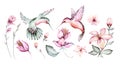 Tropical watercolor set birds hummingbird, monkey and jaguar, exotic jungle plants palm banana leaves flowers, flamingo pastel Royalty Free Stock Photo