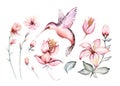 Tropical watercolor set birds hummingbird, monkey and jaguar, exotic jungle plants palm banana leaves flowers, flamingo pastel Royalty Free Stock Photo