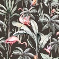 Tropical watercolor birds hummingbird, monkey and jaguar, exotic jungle plants palm banana leaves flowers, flamingo pastel color Royalty Free Stock Photo
