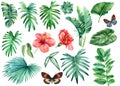 Tropical watercolor exotic jungle plants. Palm leaves, red hibiscus flowers and color butterflies Royalty Free Stock Photo