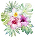 Tropical watercolor illustration