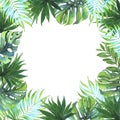 Tropical watercolor illustration. Square frame of tropical palm leaves, monstera.