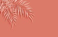 Tropical watercolor palm leaves. Summer tropical leaf. Exotic hawaiian jungle foliage, summertime background. Coral color, paper Royalty Free Stock Photo